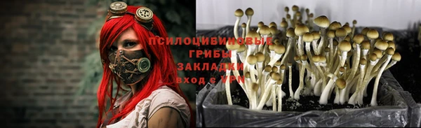 Альфа ПВП Баксан
